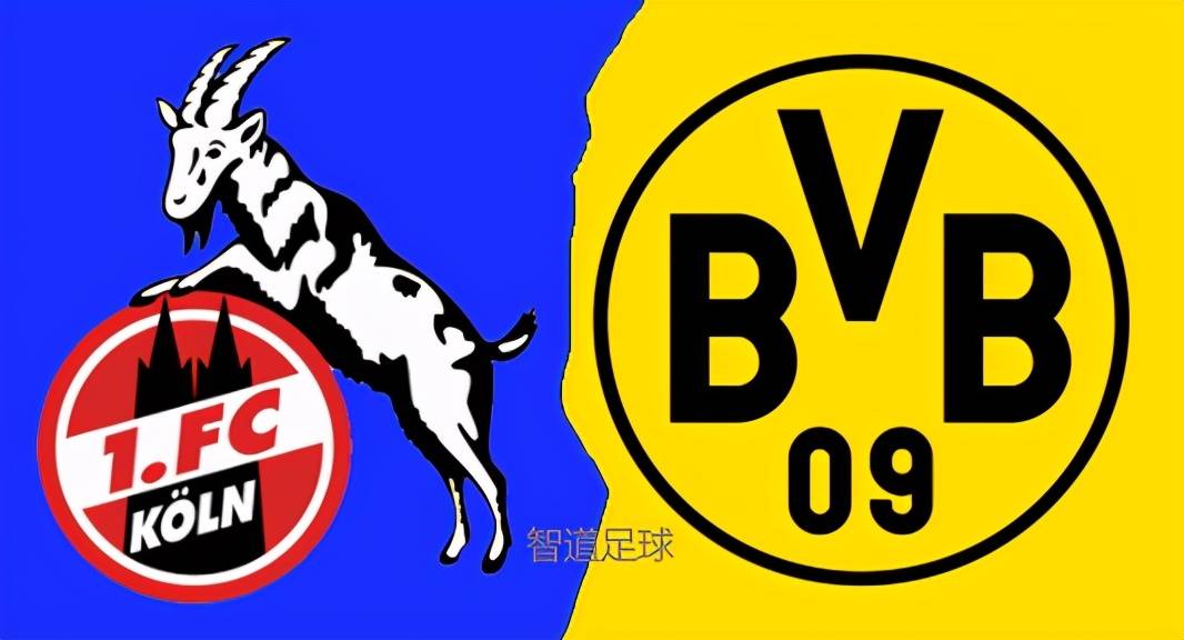 科隆主场力擒汉堡,成功保级德甲资格的简单介绍 科隆主场力擒汉堡,成功保级德甲资格的简单介绍