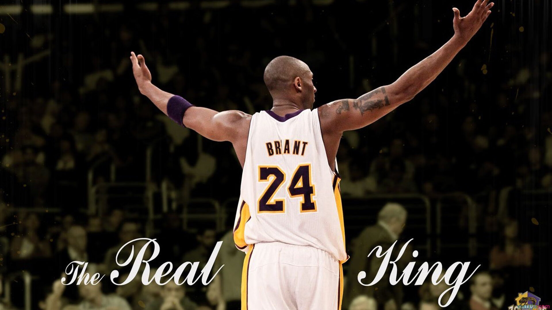 舞台越大越强，福克斯领衔独行侠横扫广厦，诠释巨星本色